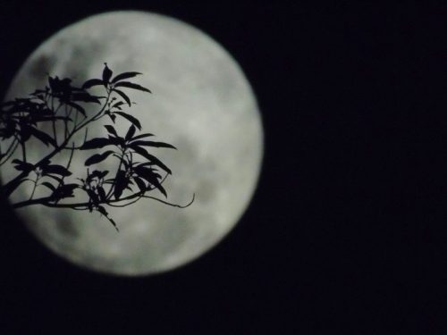 Oktobarski supermjesec je prvi od tri ove godine!