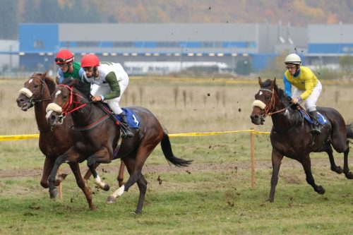 Danas u Butmiru održane Međunarodne konjičke trke!