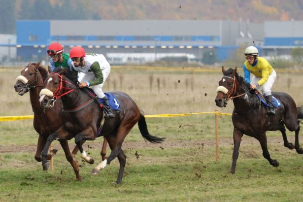 Danas u Butmiru održane Međunarodne konjičke trke!
