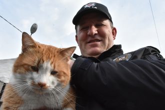 Policajci u Turskoj uhvatili simpatičnog provalnika na djelu