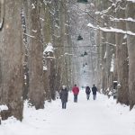 Sezonska prognoza meteorologa iz susjedstva: Šta očekivati od nadolazeće zime?