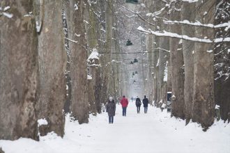 Sezonska prognoza meteorologa iz susjedstva: Šta očekivati od nadolazeće zime?