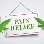 Pokrenuta procedura za premještanje kanabisa s liste zabranjenih droga u BiH!