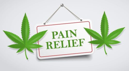 Pokrenuta procedura za premještanje kanabisa s liste zabranjenih droga u BiH! 