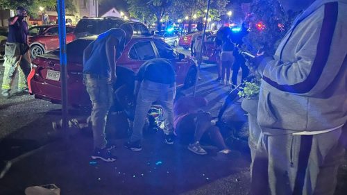 Stravična pucnjava Mreža X