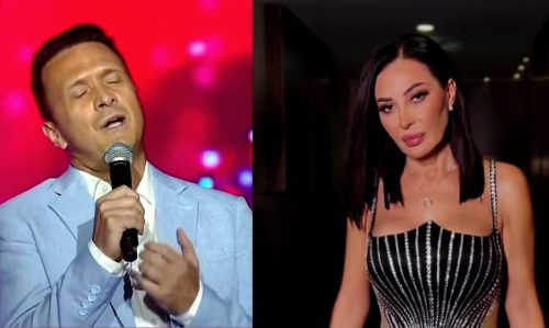 ZORAN VANEV OŠTRO OSUDIO Foto: Hype ilustracija ceca zoran.vanev.official