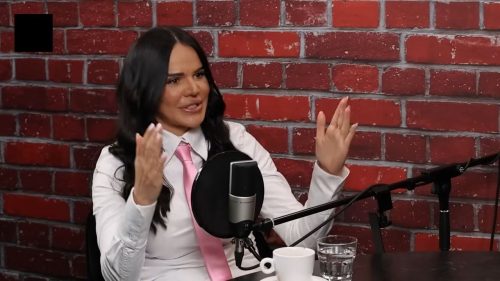 PR-KA KRIMINALNOG GENGA TUŽILA PORTAL „REŠETKA“