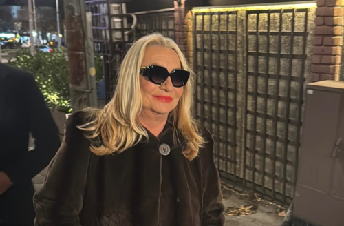 Vesna Zmijanac progovorila o OBRISANOM spotu Relje i Nataše