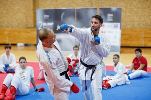 Svjetski prvak u karateu i bh. selektor Goran Đekić