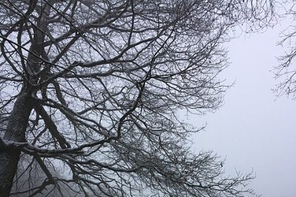 Tri navike koje zimi narušavaju zdravlje!