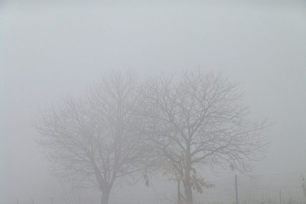 I danas magla! Detaljna prognoza do utorka!