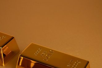 Njemica preko granice u BiH prenijela 26 zlatnih poluga!