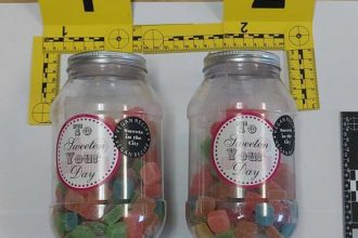 Na sarajevskom aerodromu uhapšena Amerikanka