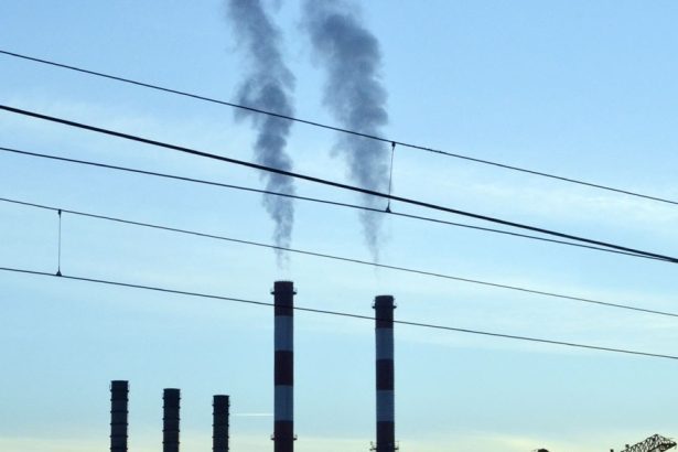 U Republici Srpskoj umrlo 667 osoba od bolesti respiratornog sistema!