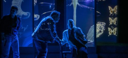 Sarajevska Hagada u središtu priče