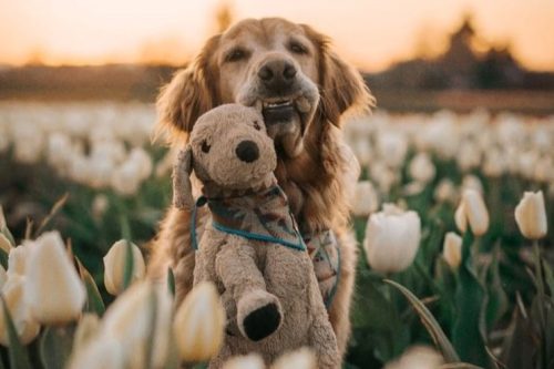 Evo zašto Instagram