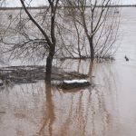 Bosna se izlila u Rajlovcu!