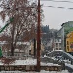 Nakon nesreće na Grbavici, u toku preventivna sječa stabala!