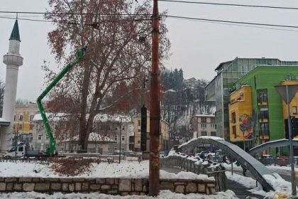 Nakon nesreće na Grbavici, u toku preventivna sječa stabala!