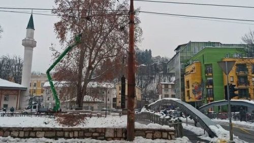 Nakon nesreće na Grbavici, u toku preventivna sječa stabala! 