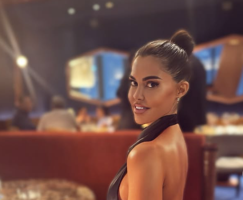 POLOMILA SAM VILICU photo: printscreen/Instagram/diline_dijana