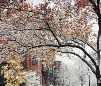 Vremenska prognoza do petka