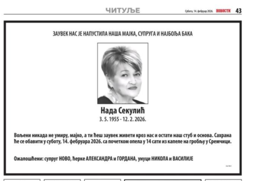 Foto: Printscreen Novosti