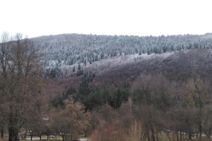 Vremenska prognoza do petka