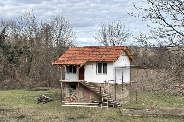 Tragedija: Mladići pronađeni mrtvi u vikendici!