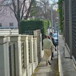 Policija krijući sprovela kćerku Zdravka Čolića