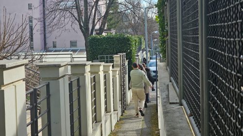 Policija krijući sprovela kćerku Zdravka Čolića