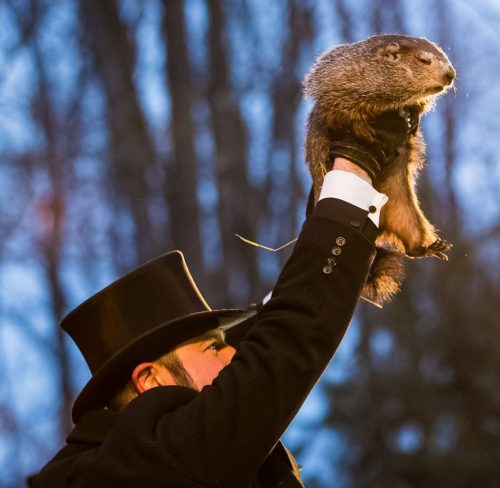 Čuveni mrmot Punxsutawney Phil izašao iz jazbine i ugledao svoju sjenu!