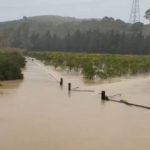 Djevojčica koja je pokušavala spasiti psa nestala u stravičnoj oluji!