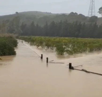 Djevojčica koja je pokušavala spasiti psa nestala u stravičnoj oluji!