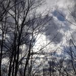 Vremenska prognoza do petka