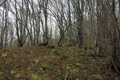 Vremenska prognoza do subote