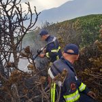 Požar nedaleko od Sarajeva