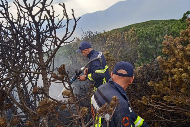 Požar nedaleko od Sarajeva