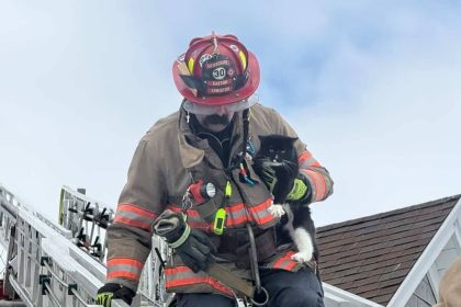 Vatrogasci spašavali "modnog mačka"!