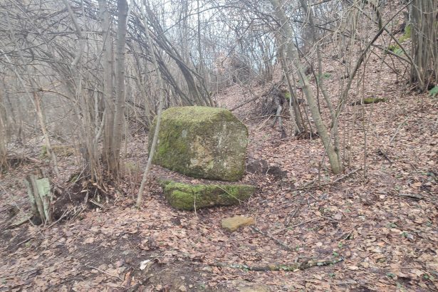 Visoko: Otkrivena nepoznata nekropola stećaka!
