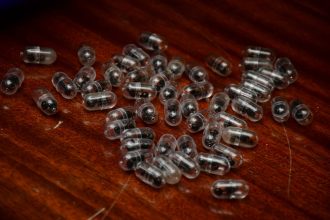 Kinez pokušao prokrijumčariti 2000 živih mrava!