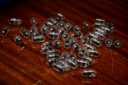 Kinez pokušao prokrijumčariti 2000 živih mrava!