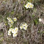 Vremenska prognoza do srijede