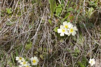 Vremenska prognoza do srijede