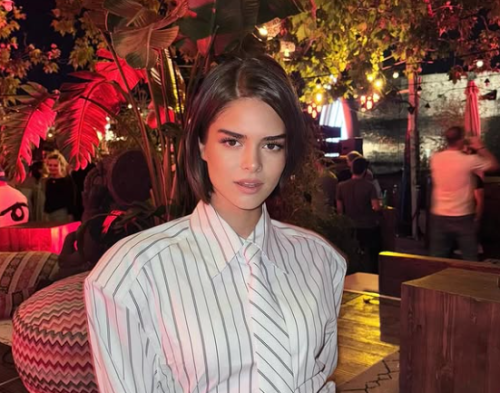 Sofija Dacić priznala sve 