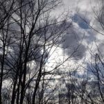 Vremenska prognoza: Oblačno sa kišom i lokalnim pljuskovima!