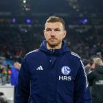 Edin Džeko na detaljnim pregledima