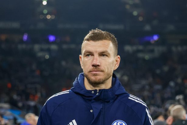 Edin Džeko na detaljnim pregledima