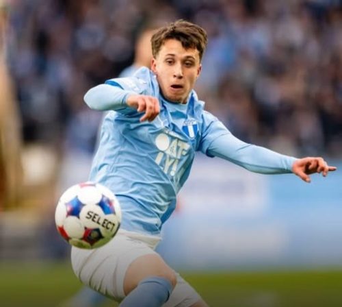 Novi Zmaj stiže iz Švedske!