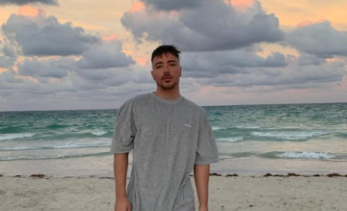 Milan Stanković se vraća na scenu!